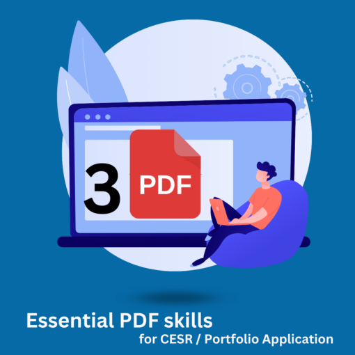 Essential PDF skills for CESR / Portfolio application - Image 2